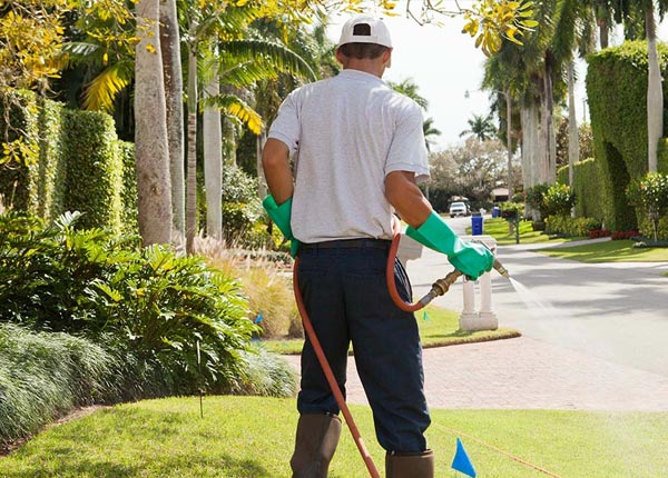 About Clear Spring MD Pest Control